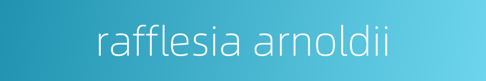 rafflesia arnoldii的同义词