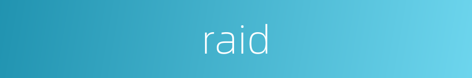 raid的同义词