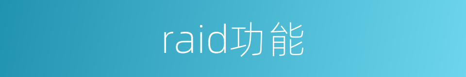 raid功能的同义词