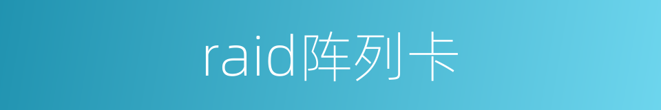 raid阵列卡的同义词