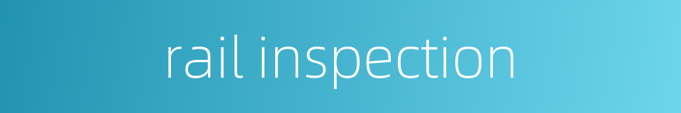 rail inspection的同义词