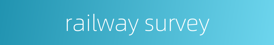 railway survey的同义词