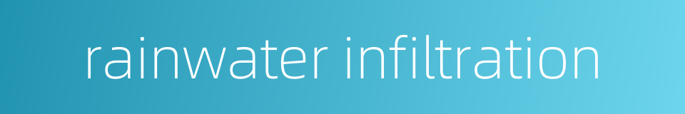 rainwater infiltration的同义词