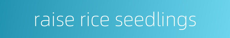 raise rice seedlings的同义词