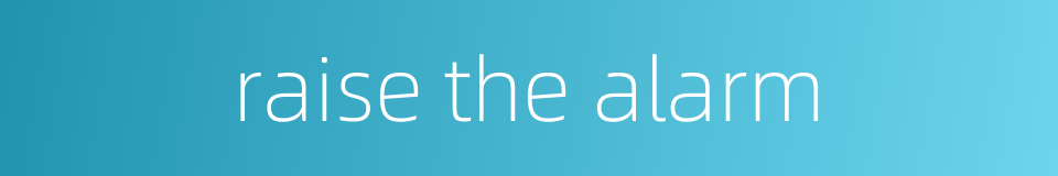 raise the alarm的同义词