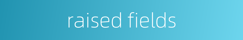 raised fields的同义词