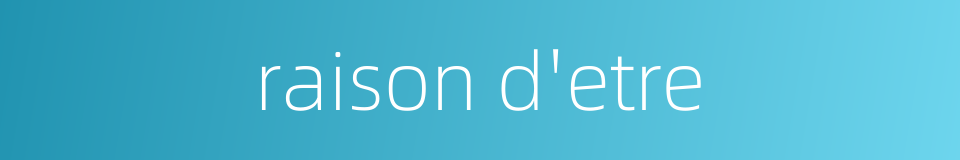 raison d'etre的同义词