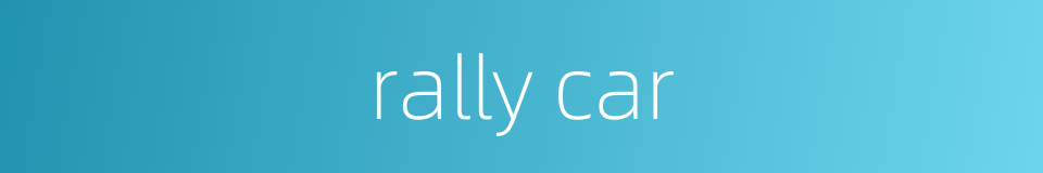 rally car的同义词