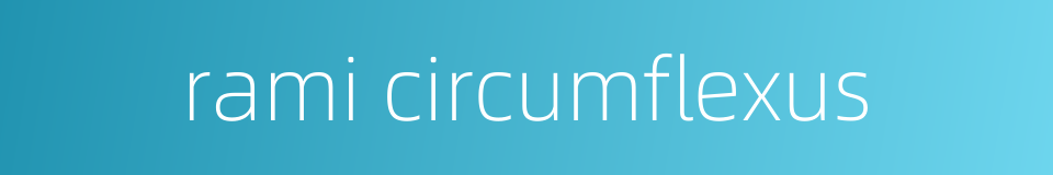 rami circumflexus的同义词
