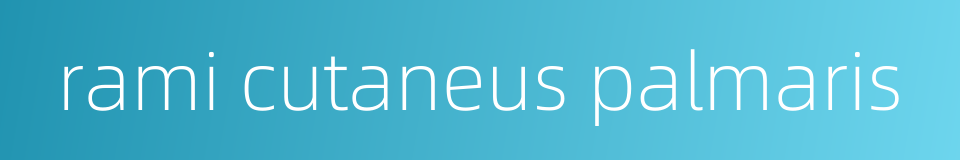 rami cutaneus palmaris的同义词