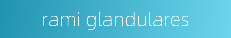 rami glandulares的同义词