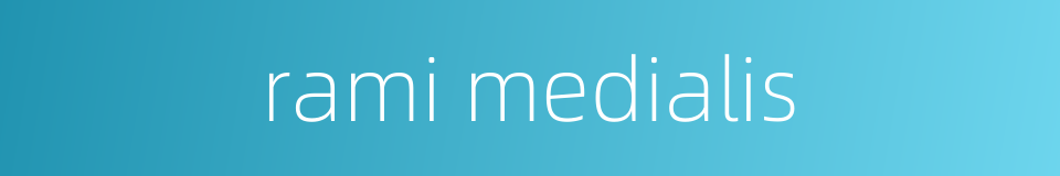 rami medialis的同义词