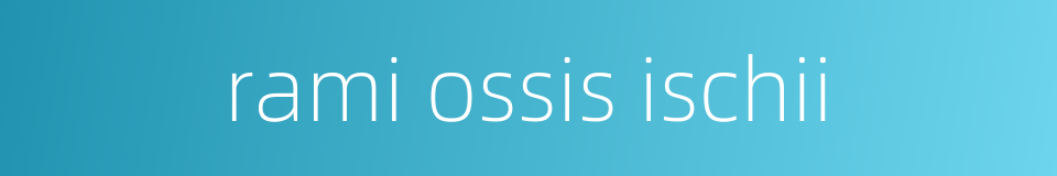 rami ossis ischii的同义词