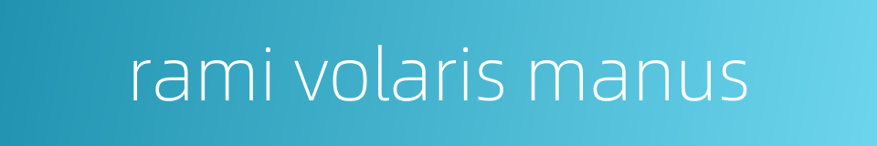 rami volaris manus的同义词