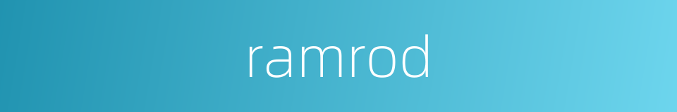 ramrod的同义词