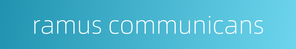 ramus communicans的同义词