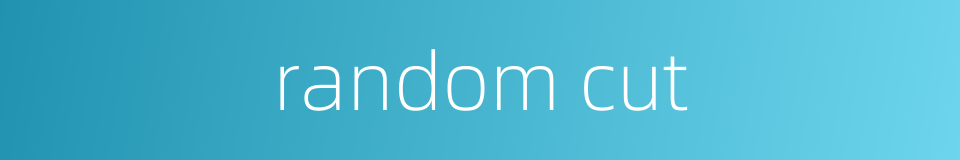 random cut的同义词