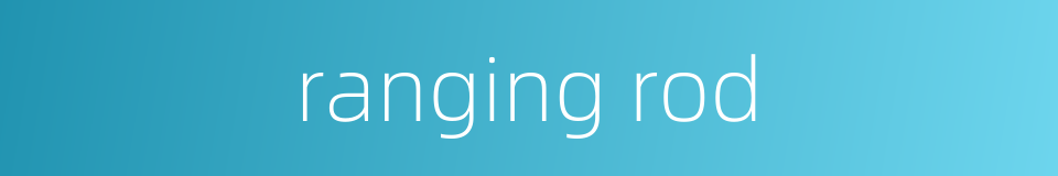 ranging rod的同义词