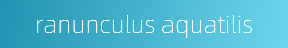 ranunculus aquatilis的同义词