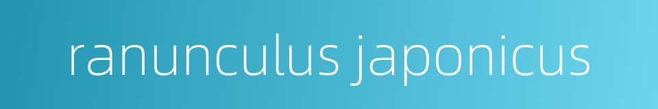 ranunculus japonicus的同义词