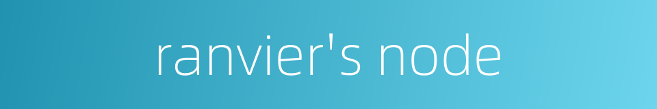 ranvier's node的同义词