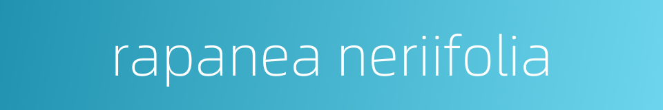 rapanea neriifolia的同义词