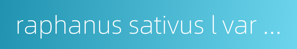 raphanus sativus l var radculus pers的同义词