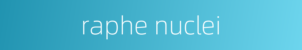 raphe nuclei的同义词
