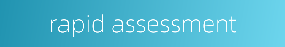 rapid assessment的同义词