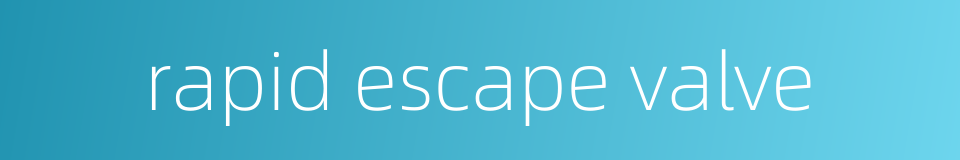 rapid escape valve的同义词