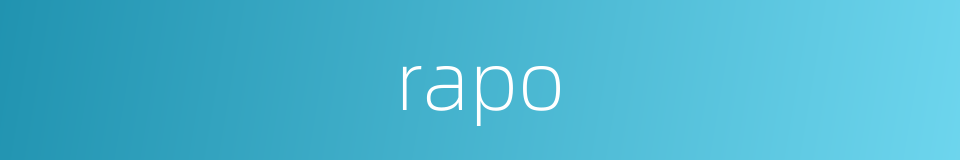 rapo的同义词