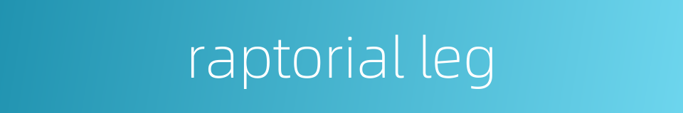 raptorial leg的同义词