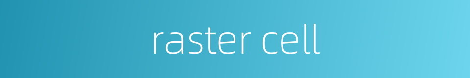 raster cell的同义词