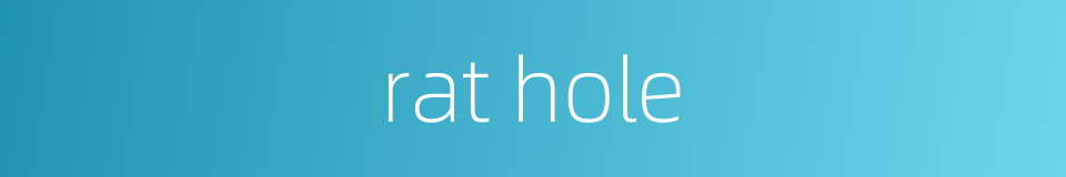 rat hole的同义词