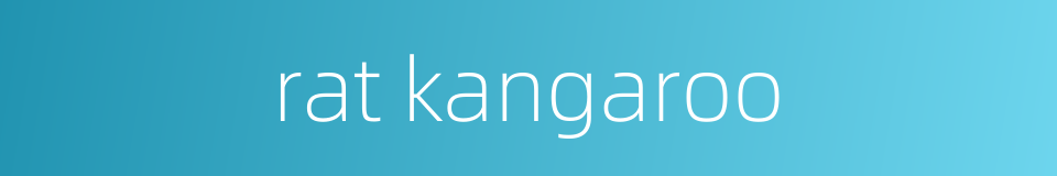 rat kangaroo的同义词