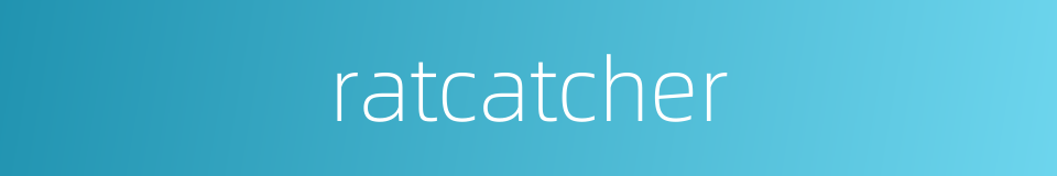 ratcatcher的同义词