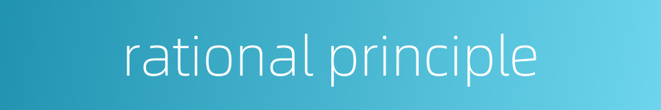 rational principle的同义词