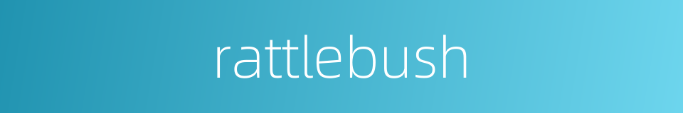 rattlebush的同义词