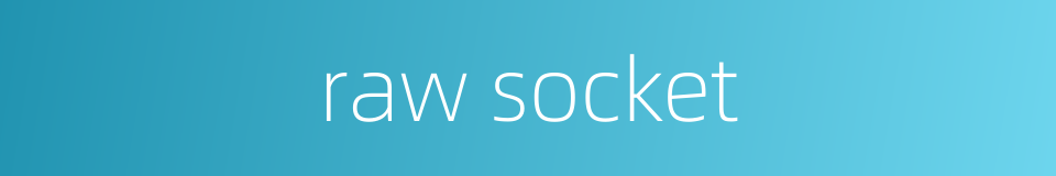 raw socket的同义词