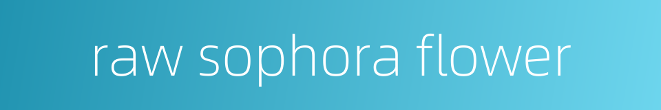 raw sophora flower的同义词