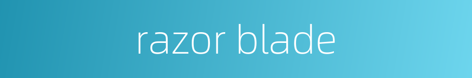 razor blade的同义词