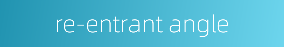 re-entrant angle的同义词