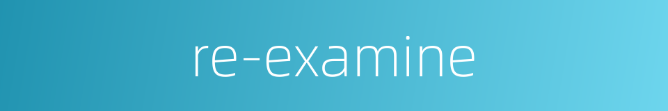 re-examine的同义词