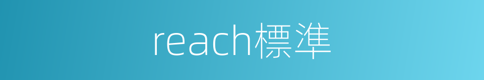 reach標準的同義詞