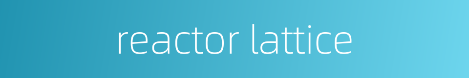 reactor lattice的同义词