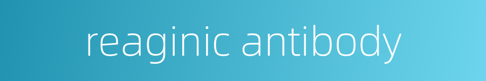 reaginic antibody的同义词
