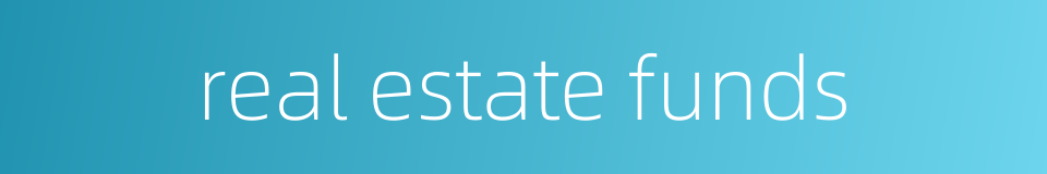 real estate funds的同义词