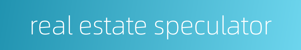 real estate speculator的同义词