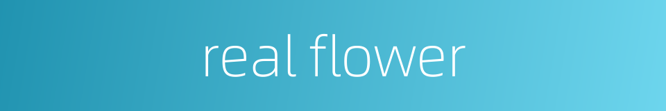 real flower的同义词