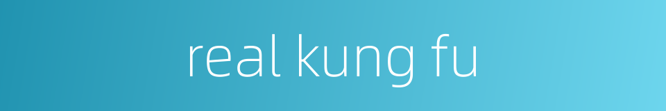 real kung fu的同义词